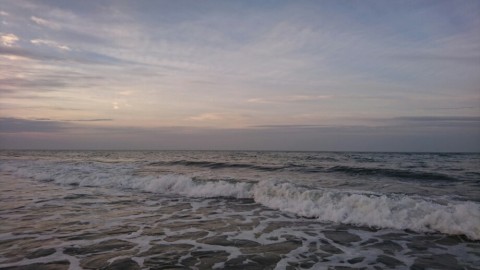 u6k362bcorjs7hxn2nax_920_518-3e8fc2b2.jpg