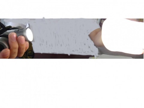 u6snk2ttdgnt7ehtgjkp_480_480-10c35748.jpg