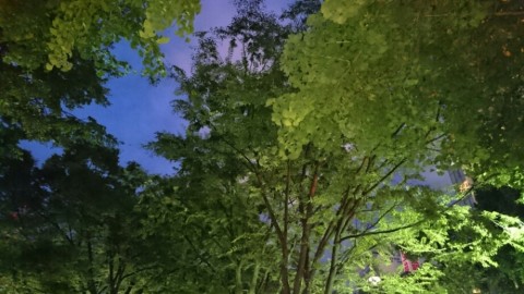 u6v38g9xgj56sod8avmy_920_518-f0c343e1.jpg