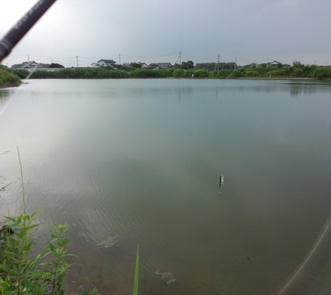 u7336ygsa33bdryexyh3_920_818-772b821d.jpg