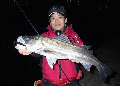 u736tnifdy8xib36ryku_538_384-2a9ce2d4.jpg