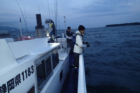 u73x5sun4a3ftzvs3yff_480_480-1038da84.jpg
