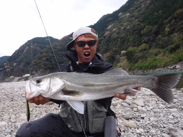 Pure Fishing Japan SaltWater BLOG】 0か1匹かの熊野川サツキマス Pure Fishing Japan SaltWater BLOG】 0か1匹かの熊野川サツキマス