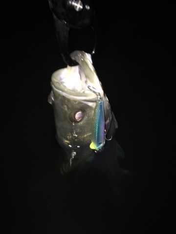 u7gjonrwrvdg9nfej6ux_690_920-c9827145.jpg