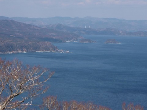 u7noztsr45fms5ni7jc3_480_480-2087f588.jpg