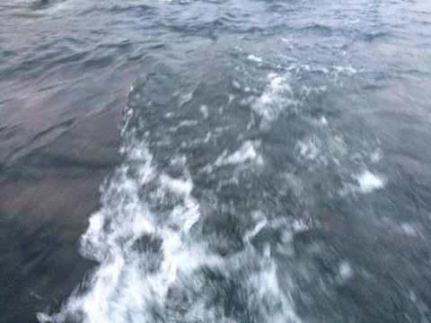 u7nsrr8mjpk53755izr2_480_480-436464bf.jpg