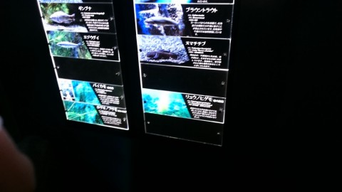 u7ofg3ss28dvc3e8fm7e_480_480-1864272e.jpg
