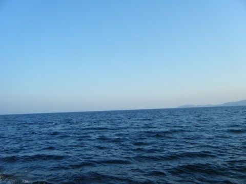 u7v6m7je5r46t4wdraax_480_480-9993bf68.jpg
