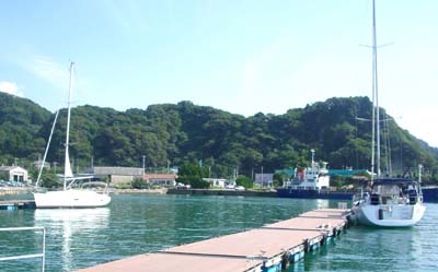 保田港