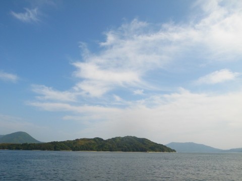 u7ya2koamb4awbv485hn_480_480-c2382624.jpg