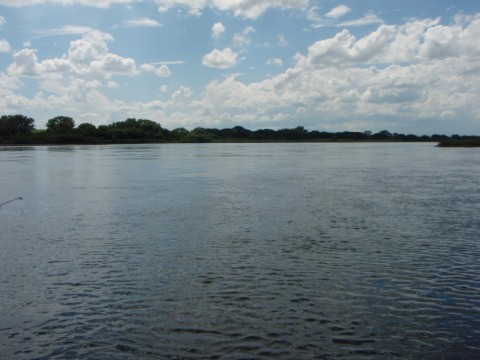 u883n6x9t8evjaw5fisc_480_480-3852e519.jpg