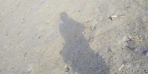 u89syu8jpp58oar9o7vy_480_480-c0df3957.jpg