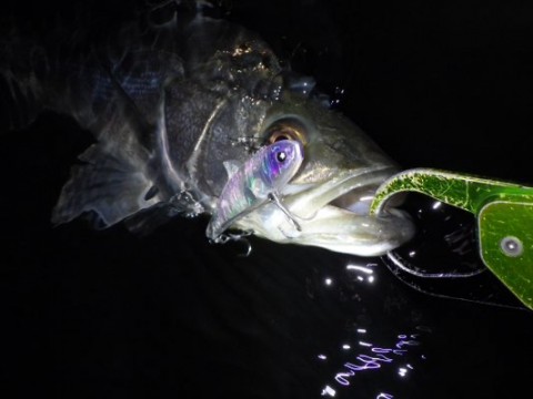u8bcpojxt6p2hctk6sws_480_360-a2944400.jpg