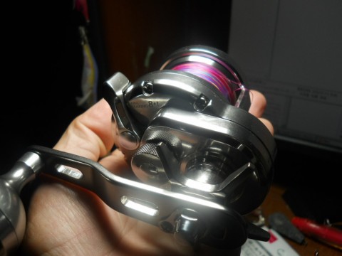 u8dd8nxfma5t78onkymz_480_480-63ba7464.jpg
