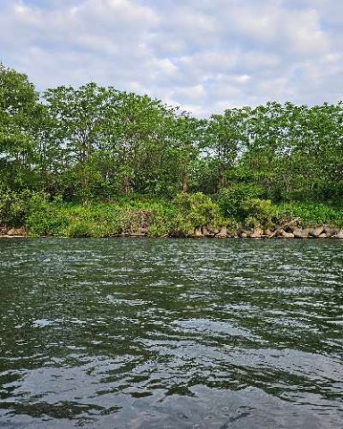 u8h6ynpfbpfgmnj2b52h_480_480-5a756892.jpg