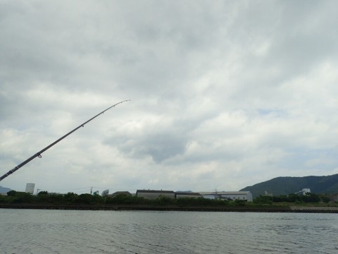 u8jc8uubpfbp2wm96a58_920_690-7c4033db.jpg