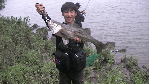 u977zwmappmts3yaohhr_480_480-21f58875.jpg