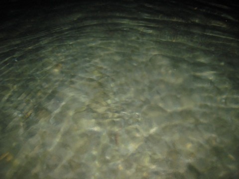 u9ccbirxucnpbr59nh68_480_480-1dd91e09.jpg