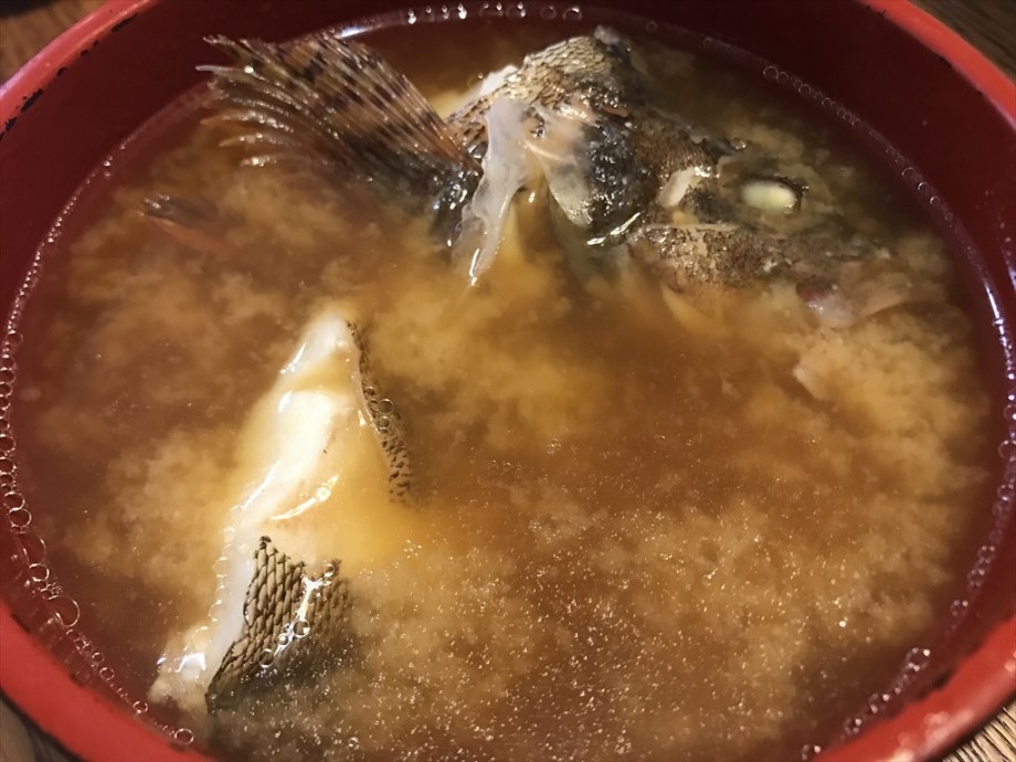 Action マジで美味かったカサゴの味噌汁