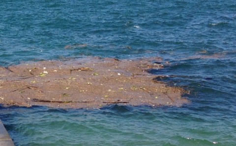 u9mhsutduowitiiphu9u_480_480-c0071cf5.jpg