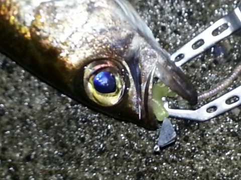 u9mmgpvnmnpb934eubry_920_690-ea62517e.jpg