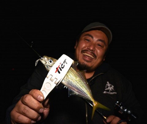 u9of5a8kbp7cr2p7wec8_480_480-68a42346.jpg