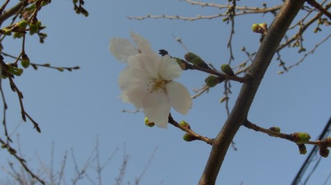 uOootsCb8Q5J52HRAYXJ_480_480-e92565b9.jpg