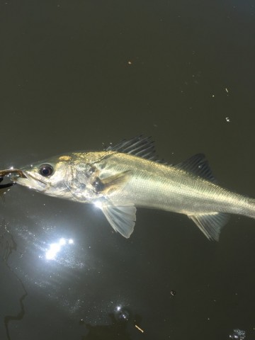 uait59g2v2av58kpgr7y_690_920-774d8c07.jpg