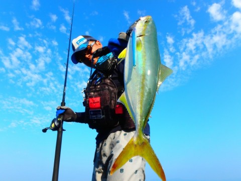 uakifd34pudh5banegyw_480_480-94990495.jpg