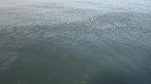 ub29ipogzoxwurezbud8_480_480-e9b6977d.jpg