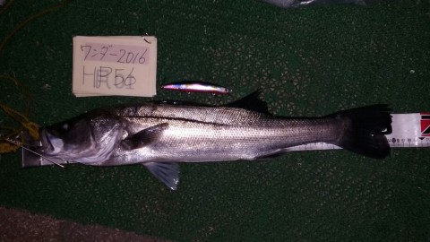 ub7fds5c58m9buokrgey_920_518-c0378ea0.jpg