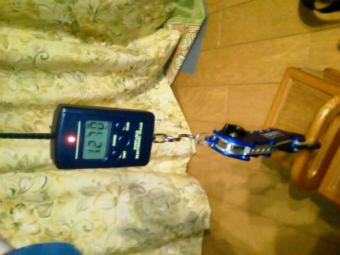 ubucnpkbftzcb5xhbr5i_640_480-7c72ac31.jpg