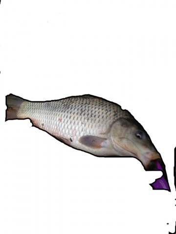 ubw8vgemovybezehg5f8_690_920-7d207c54.jpg