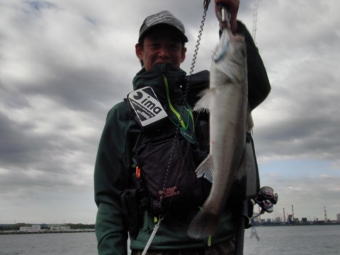 uby227ifj7mrejvdywrb_480_480-c08b7247.jpg