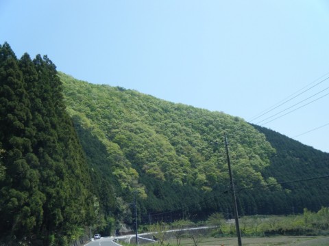ucxjgepd5srm9y6j93y6_920_690-df668ed4.jpg