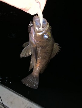 uczyaxdk8bbcoxx2uosd_361_480-3d3e662c.jpg