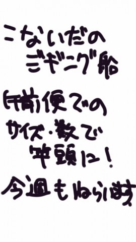 udfvos2b3r9k9i62b3dm_518_920-d01c6cd1.jpg