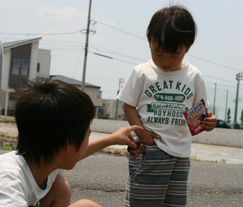 udi9f7863fjc7yc6xzdb_480_480-0ffbcc5a.jpg