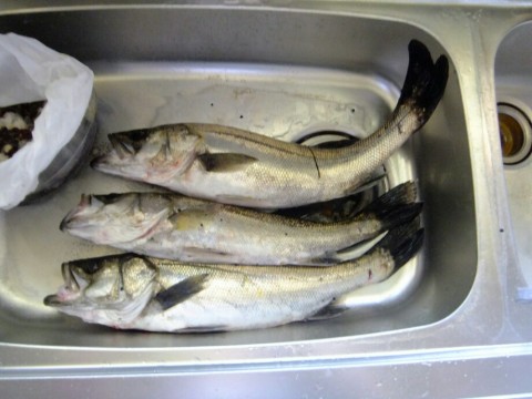 udvyrvib3t4323av8v9b_920_690-d9c8ff8e.jpg