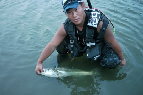 ue2ow6ds8uyo4923znaf_480_480-2dc494ab.jpg