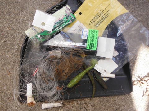 ueiarfcr7ipz66gvx4ug_480_480-c349fb8f.jpg