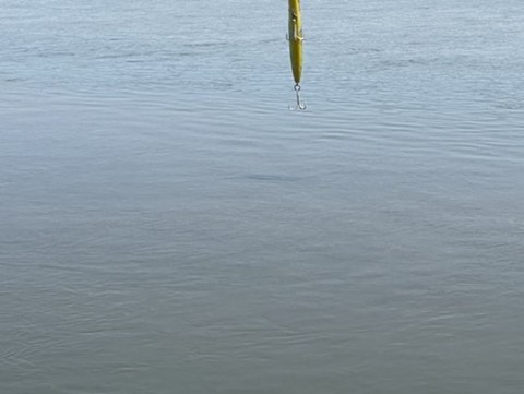 ueo4ewsvcz2zg4brydkx_480_361-ade9aa1c.jpg