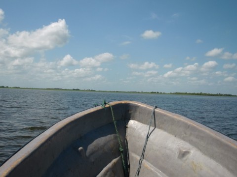 ueo6uwds8mx5vxjnk78s_480_480-80fb8138.jpg