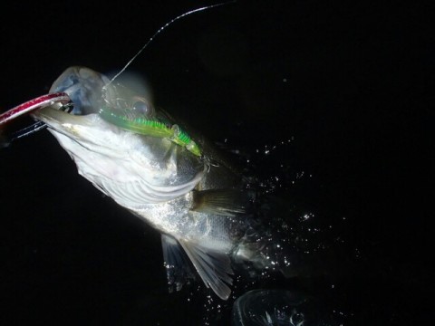 uepr9952mdgtaerkjikm_640_480-b09df9c3.jpg