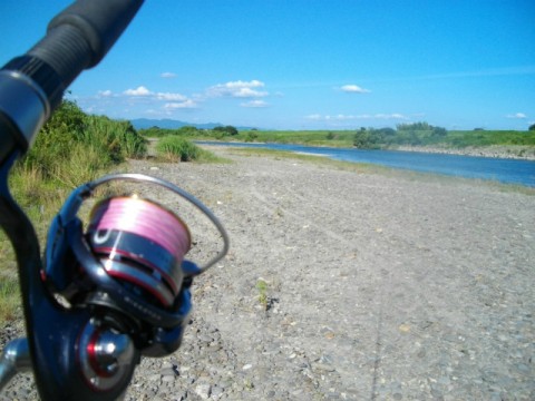 uewcjveaywxbrb6fh36b_480_480-1ab2b600.jpg