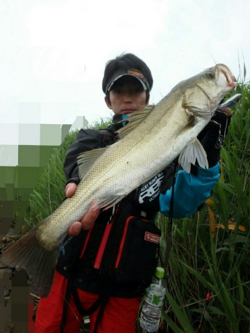 uf2i8xuve2gj7p4eipaw_690_920-7913024b.jpg