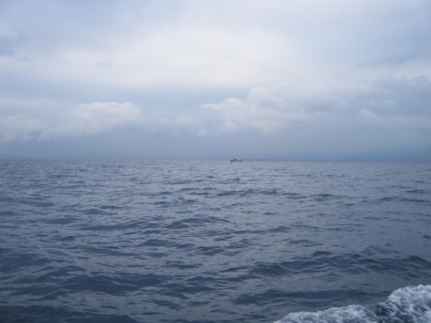 uf5vd8fv63gxgoe3mkki_480_480-068f29f3.jpg