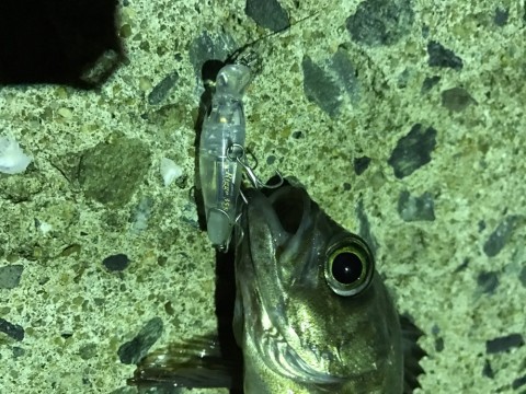 uf7dycp8fznvwp36jc6r_920_690-554fd5f6.jpg