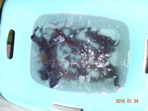 ufb5eomyomu6869rfvwb_480_480-6f651bb7.jpg