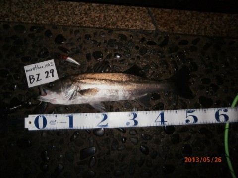 ufsb8rsop5duovuu5og9_480_480-d004606a.jpg